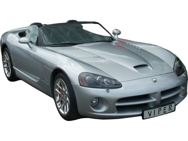 Die giftige Viper - größeres Bild durch Anklicken!