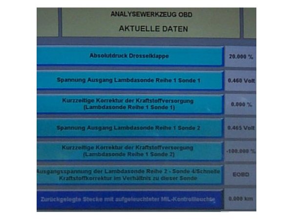 Datenausgabe w&auml;hrend der OBD